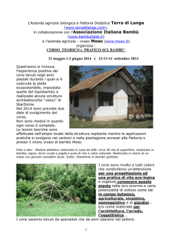 Scarica il PDF - Terra di Langa