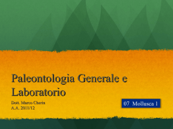 Lab07.Mollusca1 - Archivio siti web