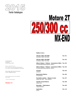 2015 - Motore 2T 250-300cc EV v1.1
