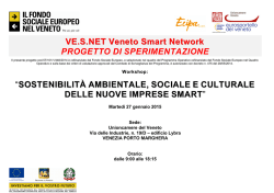 VE.S.NET Veneto Smart Network PROGETTO DI