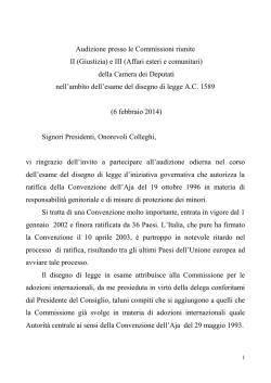 Commissioni riunite II Giustizia e III Affari Esteri Audizione informale