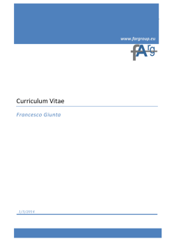 Curriculum Vitae - Financial Accounting Research Group