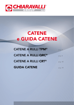CATENE e GUIDA CATENE - Emiliana Cuscinetti