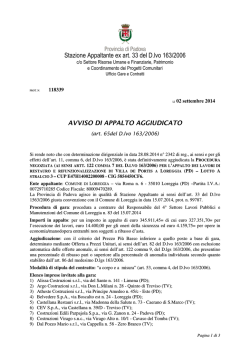 Stazione Appaltante ex art. 33 del D.lvo 163/2006