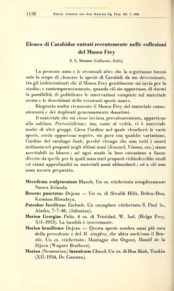 Entomologische Arbeiten aus dem Museum G. Frey Tutzing bei