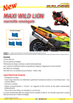 MAXI WILD LION OM_100.indd