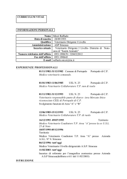 Curriculum in stile elegante