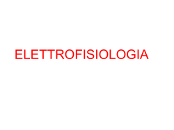 Elettrofisiologia - I blog di Unica