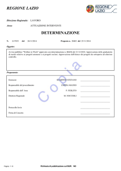 Testo della Determinazione G17033 del 26/11/2014 - Portalavoro