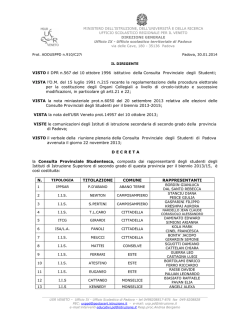 Decreto costitutivo Consulta 2014