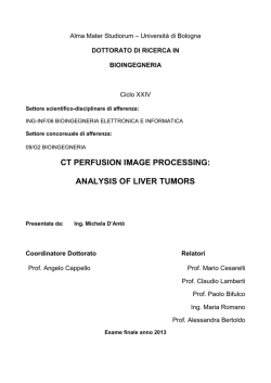 CT perfusion image processing: analysis of liver tumors