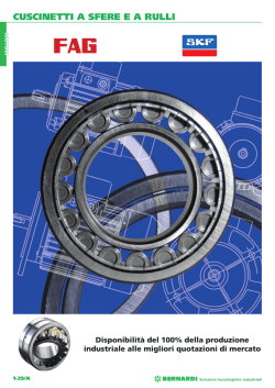 CUSCINETTI A SFERE E A RULLI