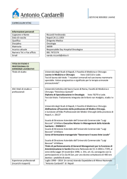 curriculum vitae