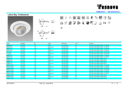 Luthor Big - Professional
