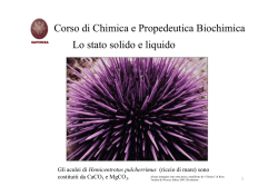 Corso di Chimica e Propedeutica Biochimica Lo stato solido e liquido