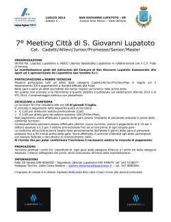 7&deg; Meeting Citt&agrave; di S. Giovanni Lupatoto