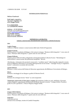 Curriculum vitae completo (152.93 Kb)