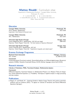 Matteo Rinaldi | Curriculum vitae