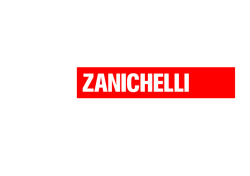 scarica il pdf - Zanichelli online per la scuola