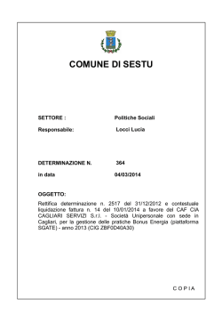 COMUNE DI SESTU