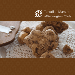 Untitled - Tartufi al Massimo