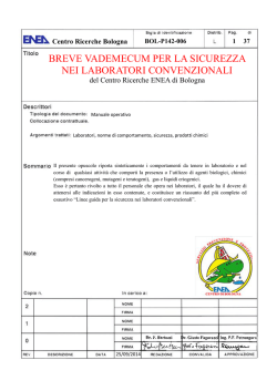 Mostra/Apri - ENEA Open Archive