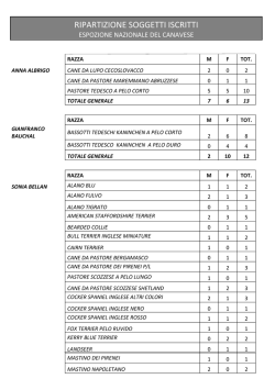 Scarica le statistiche in PDF