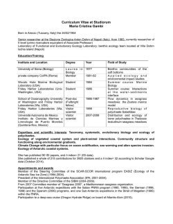 CV Inglese MCGambi MODO