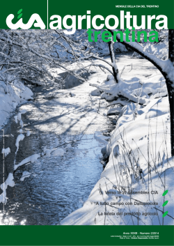 n&deg;2, febbraio 2014