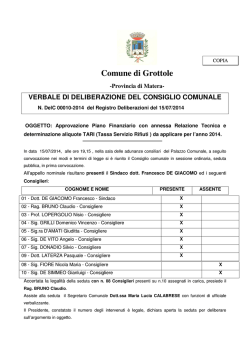Piano Finanziario TARES