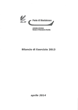 Bilancio Consuntivo anno 2013 - CCIAA di Gorizia
