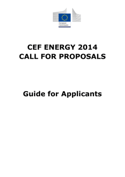 CEF ENERGY 2014 CALL FOR PROPOSALS Guide for Applicants