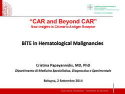 Hallmarks of BiTE Antibodies