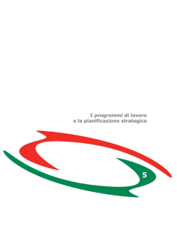 I programmi di lavoro e la pianificazione strategica