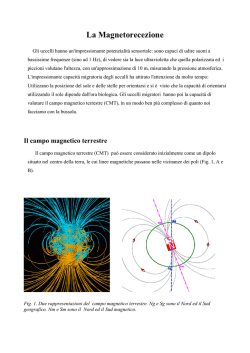 La Magnetorecezione