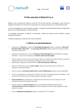 Metisoft profilo