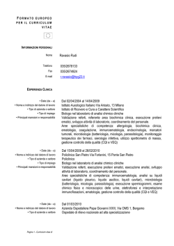 Rudi Ravasio CV in formato europeo