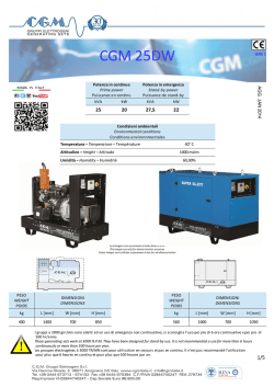 CGM 25DW - CGM Gruppi Elettrogeni