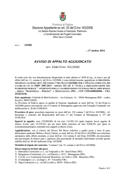 Stazione Appaltante ex art. 33 del D.lvo 163/2006