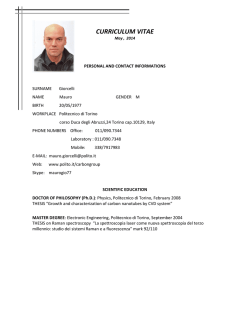 CURRICULUM VITAE - Politecnico di Torino