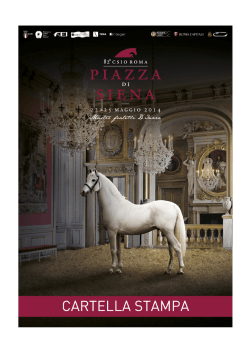 Concorso ippico internazionale