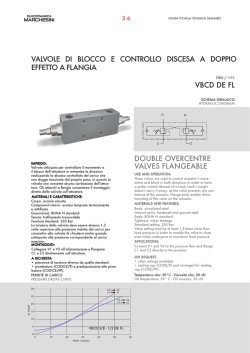 valvole di blocco e controllo discesa a doppio effetto a flangia