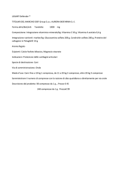 LEGART Defender &reg; TITOLARI DEL MARCHIO DDF Group S.a.s.