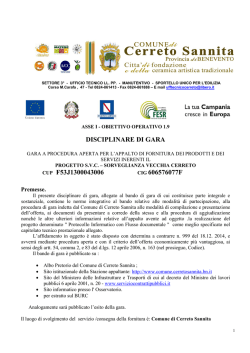 DISCIPLINARE DI GARA CUP F53J1300043006 CIG 606576077F