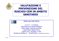 Presentazione RISCHIO CEM - PINTO