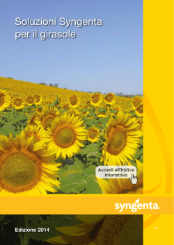 Soluzioni Syngenta per il girasole