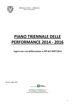 piano triennale delle performance 2014 - 2016