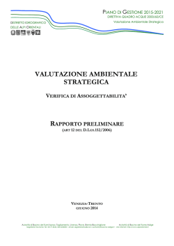 Rapporto preliminare