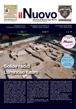 IL_Nuovo_pubblicazioni_files/Il nuovo 20140520 bassa
