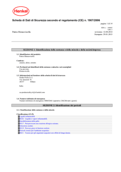 Scheda di Dati di Sicurezza secondo el regolamento (CE